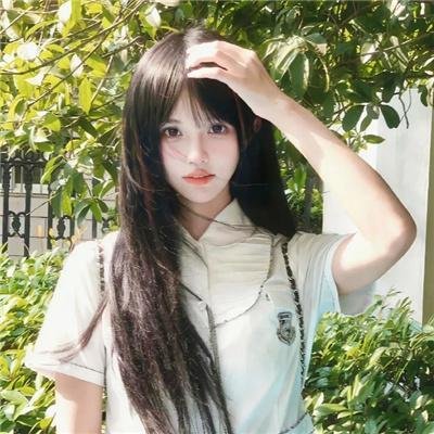 白鹭